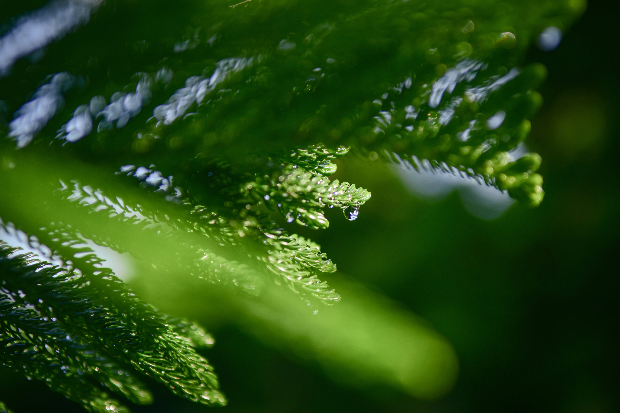 Learning Blog #2: Is Listening Enough?