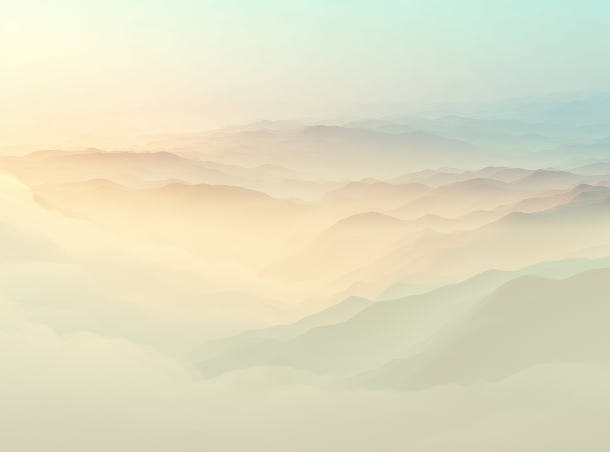 An End-of-Year Offering